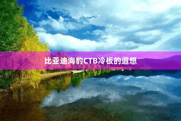 比亚迪海豹CTB冷板的遐想