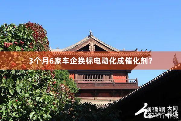 3个月6家车企换标电动化成催化剂？
