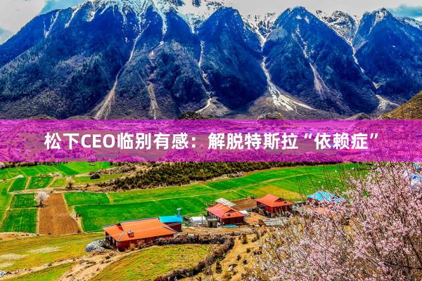 松下CEO临别有感：解脱特斯拉“依赖症”