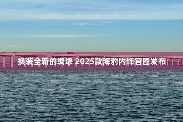 换装全新的绸缪 2025款海豹内饰官图发布