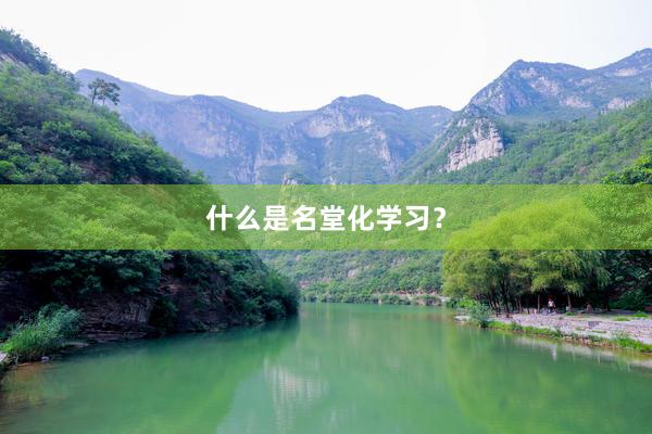 什么是名堂化学习？