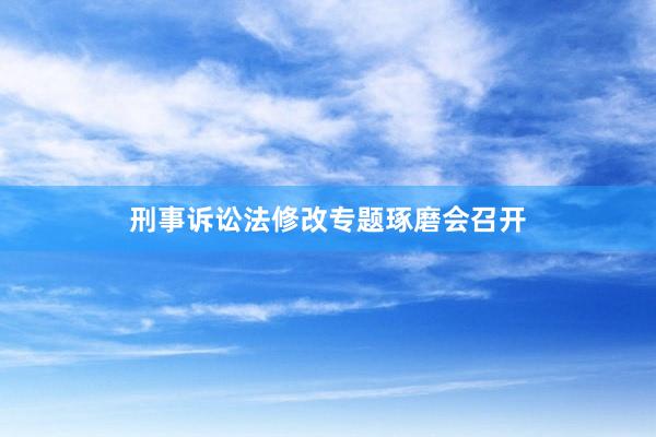 刑事诉讼法修改专题琢磨会召开