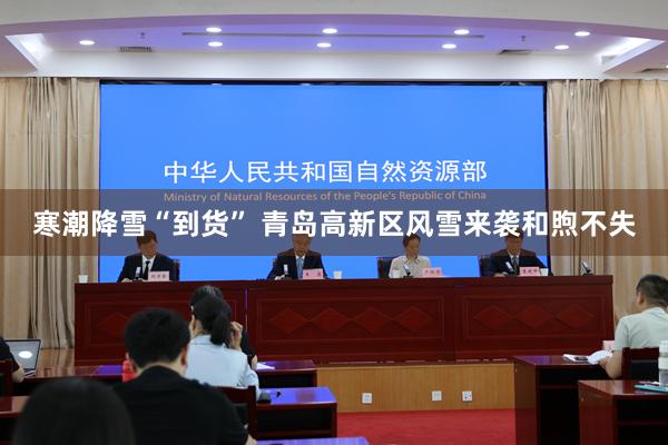 寒潮降雪“到货” 青岛高新区风雪来袭和煦不失
