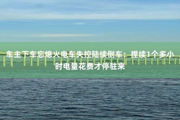 车主下车忘熄火电车失控陆续倒车：捏续1个多小时电量花费才停驻来