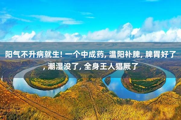 阳气不升病就生! 一个中成药, 温阳补脾, 脾胃好了, 潮湿没了, 全身王人猖厥了