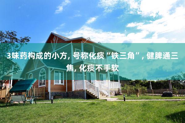 3味药构成的小方, 号称化痰“铁三角”, 健脾通三焦, 化痰不手软