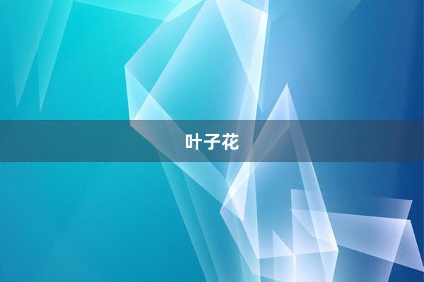 叶子花