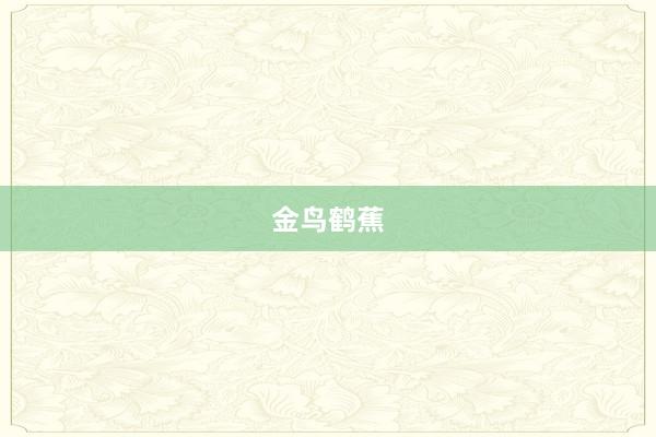 金鸟鹤蕉