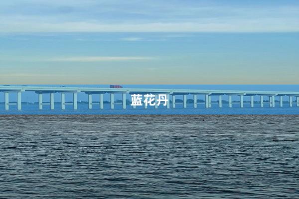 蓝花丹