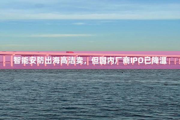 智能安防出海高洁卖，但国内厂商IPO已降温