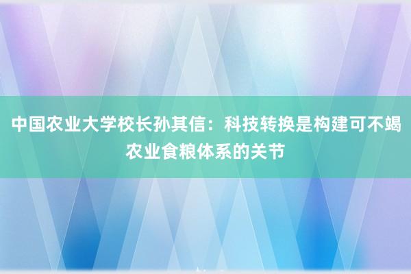中国农业大学校长孙其信：科技转换是构建可不竭农业食粮体系的关节