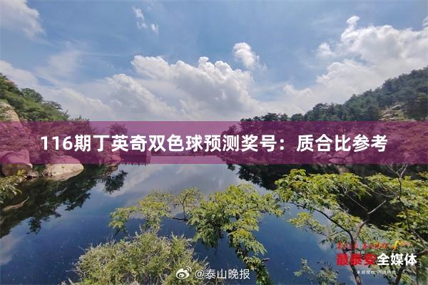 116期丁英奇双色球预测奖号：质合比参考