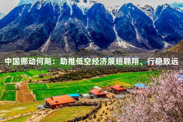 中国挪动何飚：助推低空经济展翅翱翔、行稳致远