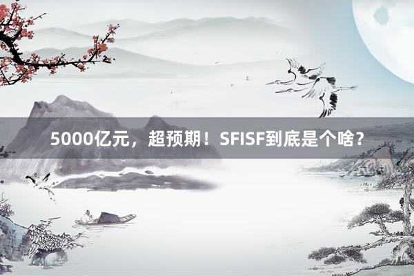 5000亿元，超预期！SFISF到底是个啥？