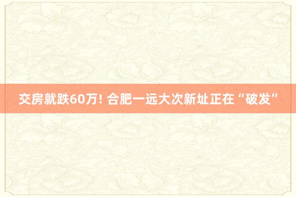 交房就跌60万! 合肥一远大次新址正在“破发”