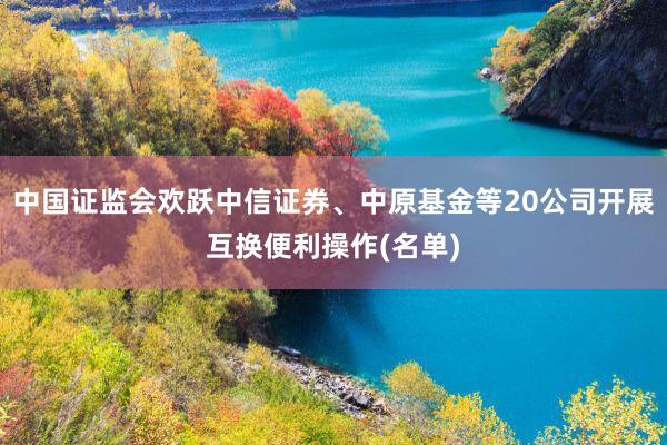 中国证监会欢跃中信证券、中原基金等20公司开展互换便利操作(名单)
