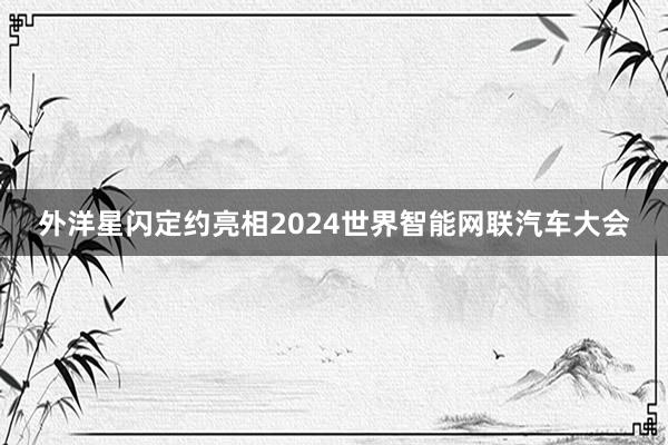外洋星闪定约亮相2024世界智能网联汽车大会