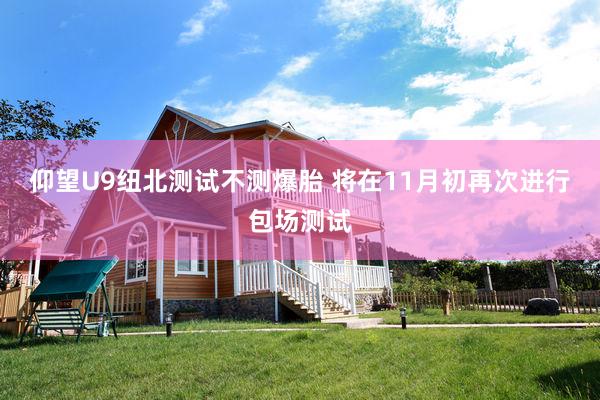仰望U9纽北测试不测爆胎 将在11月初再次进行包场测试