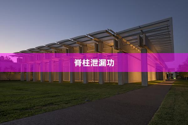 脊柱泄漏功